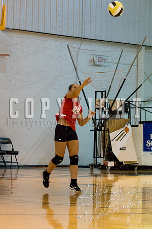 salina_vs_locustgrove_volleyball-1129