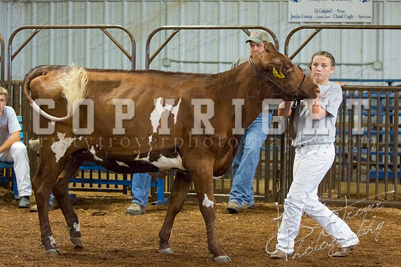 MAYES_COUNTY_FAIR_DAIRY-3404