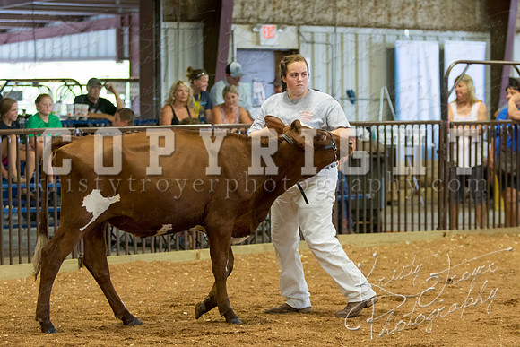 MAYES_COUNTY_FAIR_DAIRY-3400