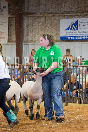 MAYES_COUNTY_FAIR_SHEEP-2957