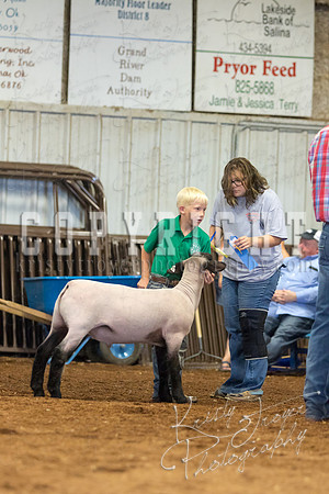 MAYES_COUNTY_FAIR_SHEEP-3123