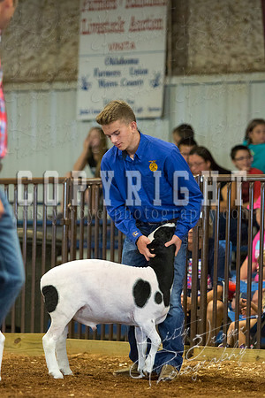 MAYES_COUNTY_FAIR_SHEEP-2901
