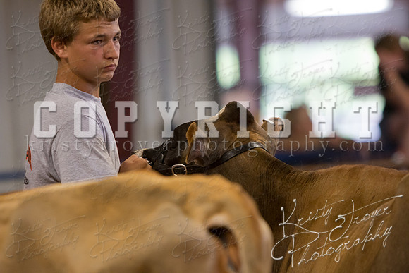 MAYES_COUNTY_FAIR_DAIRY-3378