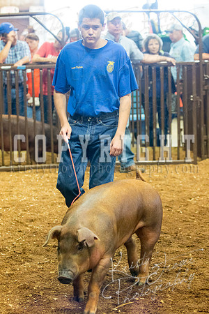 MAYES_COUNTY_FAIR_Swine-9510