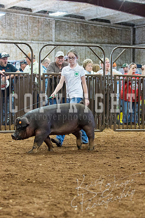 MAYES_COUNTY_FAIR_Swine-9551