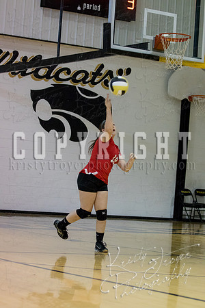 salina_vs_locustgrove_volleyball-1104