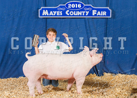 Mayes_County_Fair_Backdrop-0613