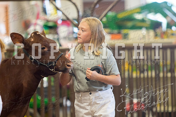 MAYES_COUNTY_FAIR_DAIRY-3402