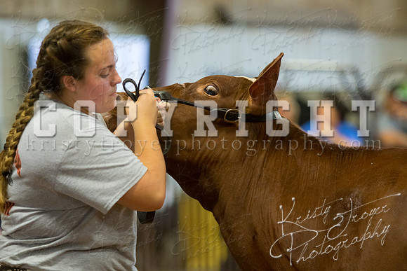 MAYES_COUNTY_FAIR_DAIRY-3410