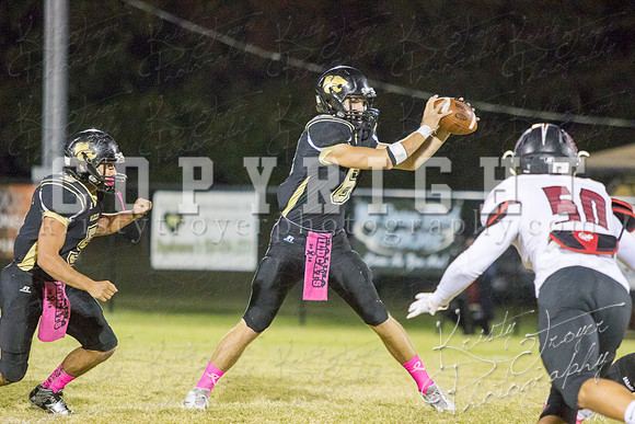 salina_vs_hollandhall_football-9651