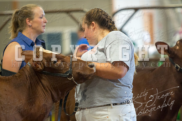 MAYES_COUNTY_FAIR_DAIRY-3401