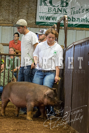MAYES_COUNTY_FAIR_Swine-9539