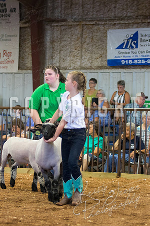 MAYES_COUNTY_FAIR_SHEEP-2956