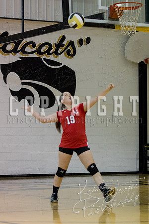 salina_vs_locustgrove_volleyball-1101