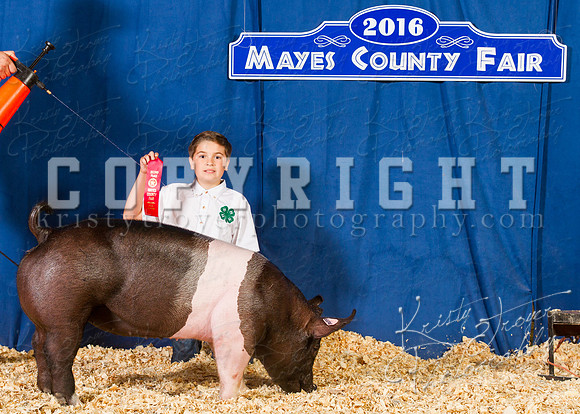 Mayes_County_Fair_Backdrop-0415