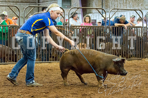 MAYES_COUNTY_FAIR_Swine-9496