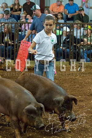 MAYES_COUNTY_FAIR_Swine-9480