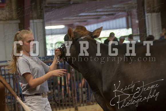 MAYES_COUNTY_FAIR_DAIRY-3430