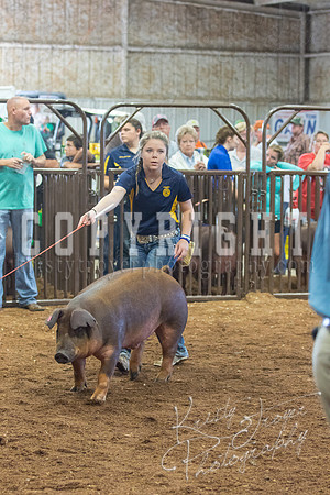 MAYES_COUNTY_FAIR_Swine-9563