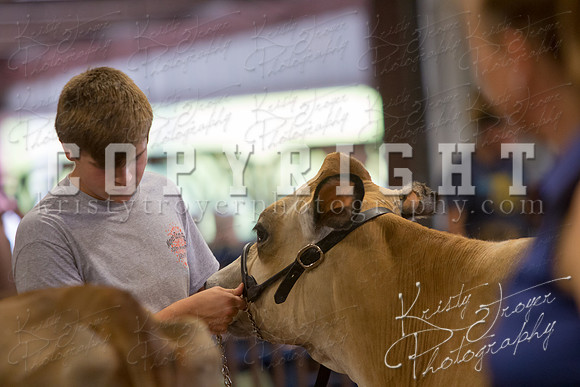 MAYES_COUNTY_FAIR_DAIRY-3379