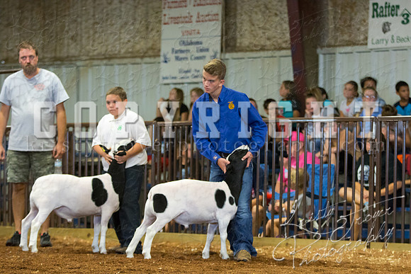 MAYES_COUNTY_FAIR_SHEEP-2902