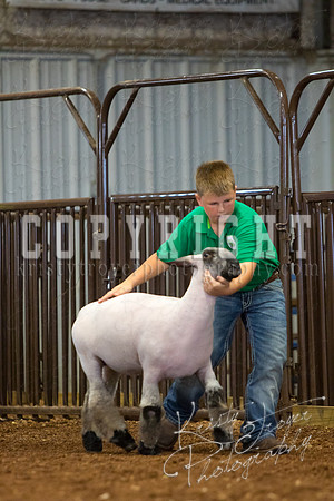 MAYES_COUNTY_FAIR_SHEEP-2833