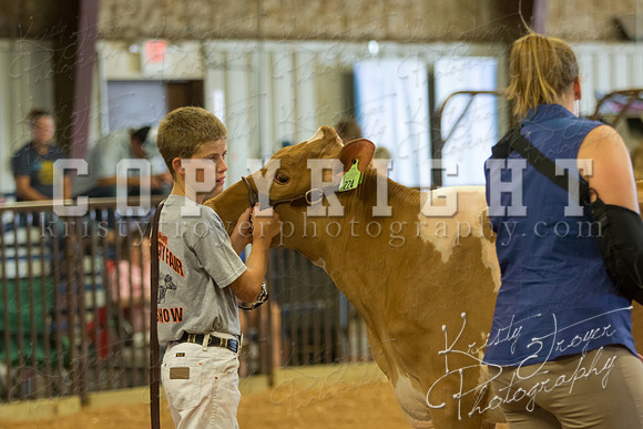 MAYES_COUNTY_FAIR_DAIRY-3306
