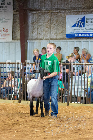 MAYES_COUNTY_FAIR_SHEEP-3105