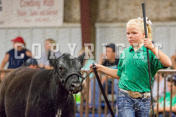 MAYES_COUNTY_FAIR_heifer-4268