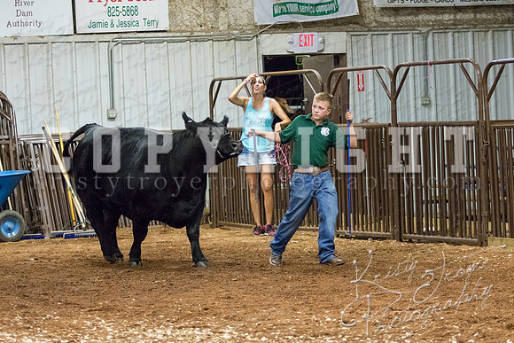 MAYES_COUNTY_FAIR_heifer-4127