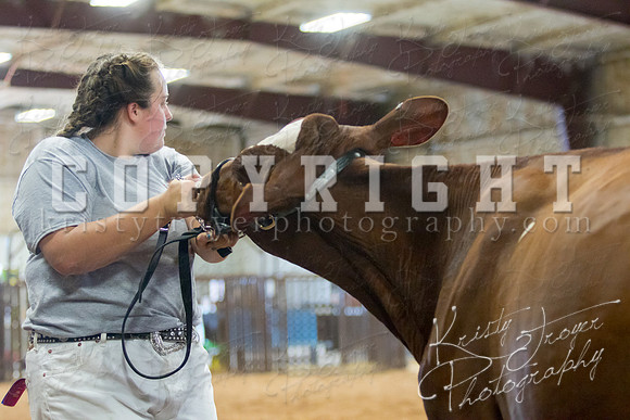 MAYES_COUNTY_FAIR_DAIRY-3437