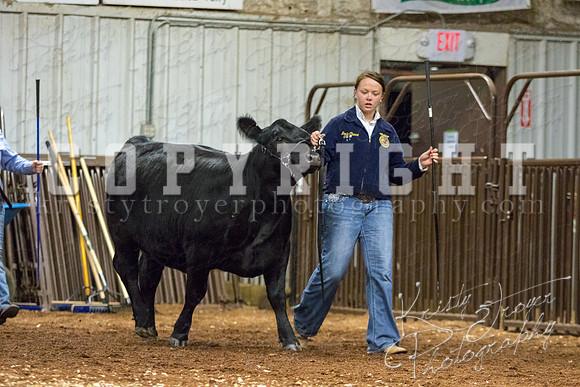 MAYES_COUNTY_FAIR_heifer-4108