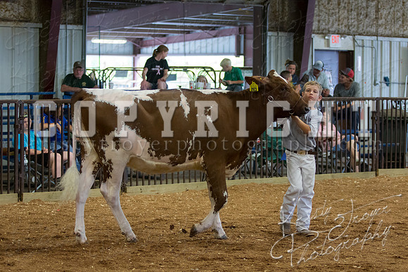 MAYES_COUNTY_FAIR_DAIRY-3416