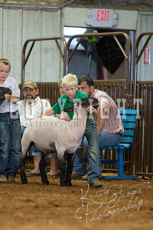 MAYES_COUNTY_FAIR_SHEEP-3113
