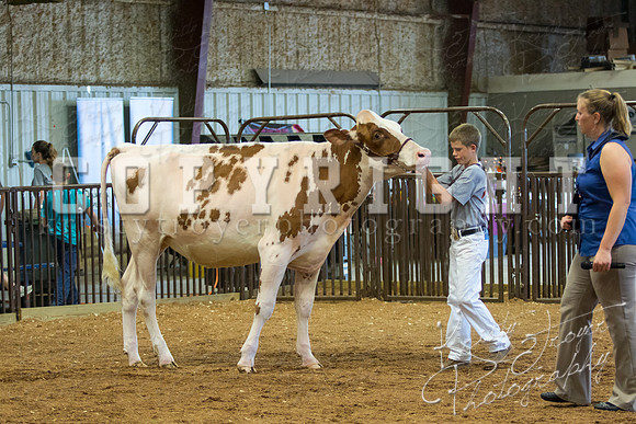 MAYES_COUNTY_FAIR_DAIRY-3348