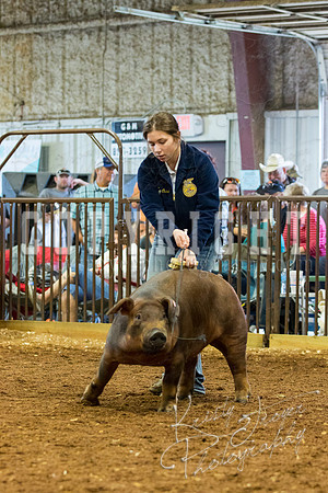 MAYES_COUNTY_FAIR_Swine-9532