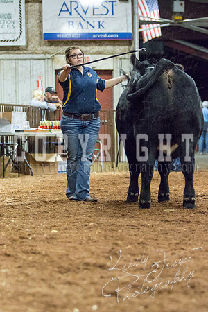 MAYES_COUNTY_FAIR_heifer-4210