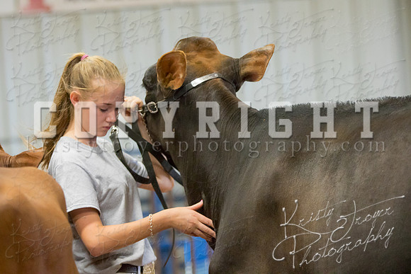 MAYES_COUNTY_FAIR_DAIRY-3434