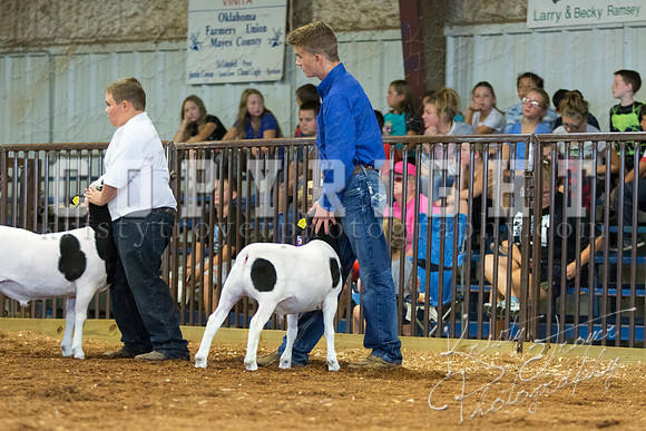 MAYES_COUNTY_FAIR_SHEEP-2904