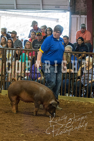 MAYES_COUNTY_FAIR_Swine-9482
