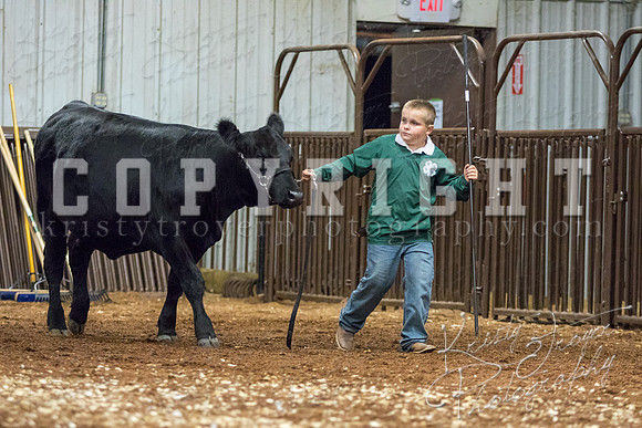 MAYES_COUNTY_FAIR_heifer-4105