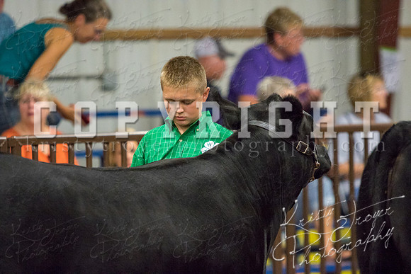 MAYES_COUNTY_FAIR_heifer-4110