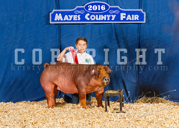 Mayes_County_Fair_Backdrop-0341
