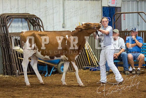 MAYES_COUNTY_FAIR_DAIRY-3331