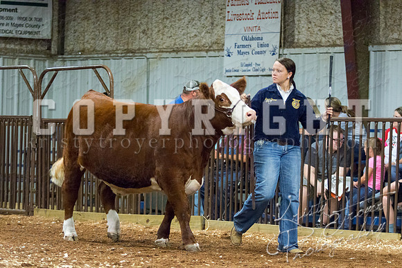 MAYES_COUNTY_FAIR_heifer-4191