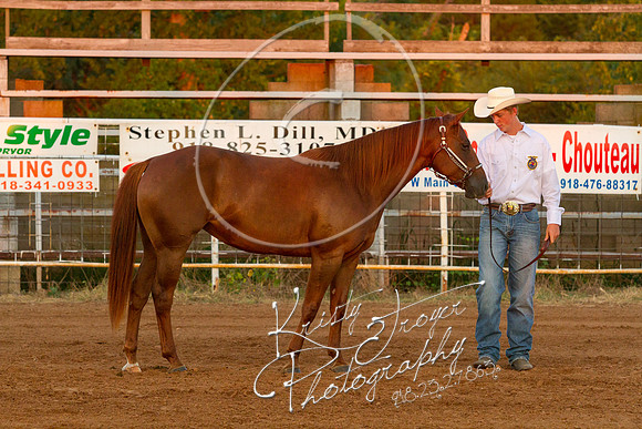 IMG_0048©KRISTYTROYER