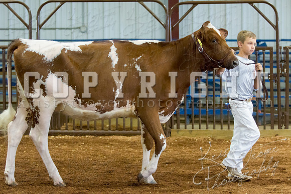 MAYES_COUNTY_FAIR_DAIRY-3415