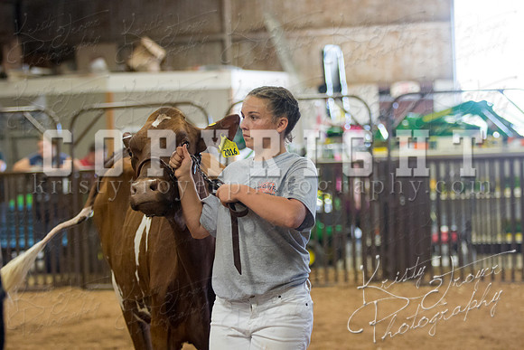 MAYES_COUNTY_FAIR_DAIRY-3420