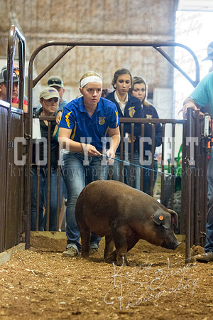 MAYES_COUNTY_FAIR_Swine-9493