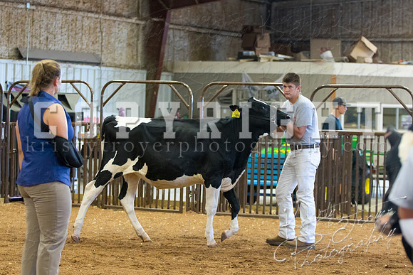 MAYES_COUNTY_FAIR_DAIRY-3343